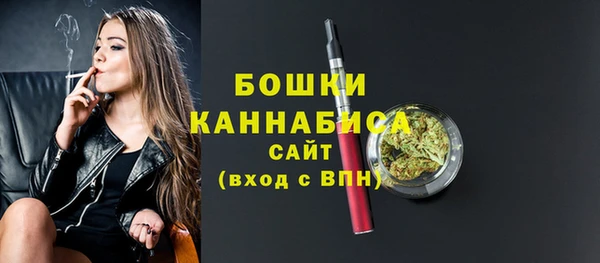 ПСИЛОЦИБИНОВЫЕ ГРИБЫ Балабаново