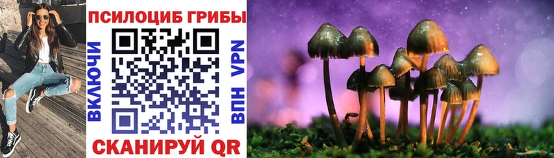 купить наркотик даркнет формула Галлюциногенные грибы MAGIC MUSHROOMS Темников