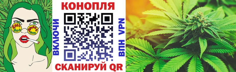 Бошки Шишки гибрид Темников